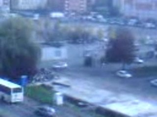 Le vieux merisier trappes