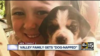 Family says dog still missing after their car was stolen