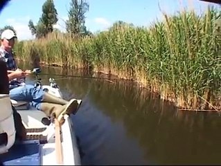 Quand tu tombes sur un truc très gênant en pleine partie de peche... Chaud lapin!