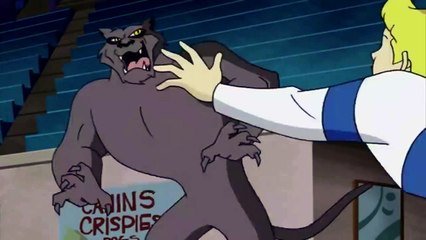 What's New Scooby Doo Cat Attack-C3YM_5P5waU