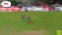 Biggest sixes in cricket history by shahid afridi _ Elder six _ bes