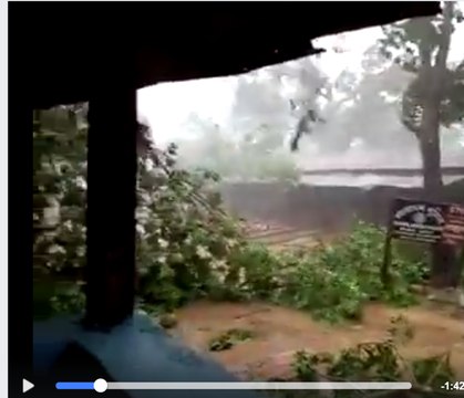 Cyclone Mora Topples Trees in Southeast Bangladesh