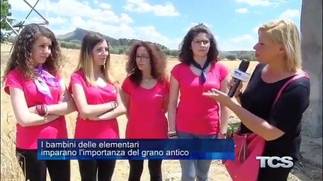 I bambini delle elementari imparano limportanza del grano antico
