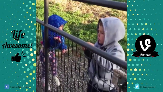 AFV FUNNY FAILS VINES COMPILATION 2017 Best Fails of the Week (January 2016) Life Awesome