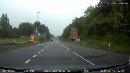 driver gets s shocks when two horese gallop towards his car