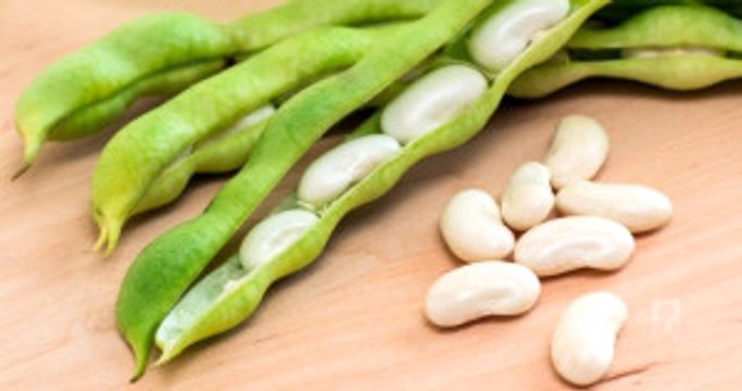 Yerli Tohum Fiyatları Cep Yakıyor! Acur 250 TL, Fasulye 40 TL