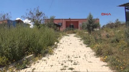 Mersin Üniversite Barınağında Hayvan Ölümleri