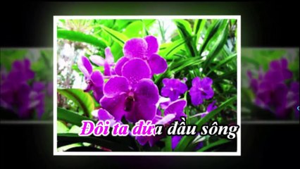 Karaoke Yêu Một Mình, Giọt Lệ Đài Trang Karaoke