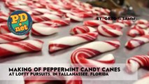 Making hand made candy canes and a little history about Candy