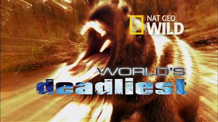 World of Survival**-Deadliest-Electric-eel-In Action**Must-See