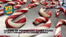 Making hand made candy canes and a little history about Ca