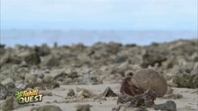 TAHITI QUEST Episode 1  - Le Reveil matinal de la famille Bleu _ Bonus #10 Saison 3 sur