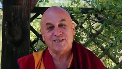 Mathieu Ricard | La honte du foie gras de Noël