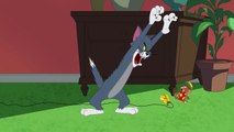 Tom & Jerry _ Ghost Sighting _ Boomeran