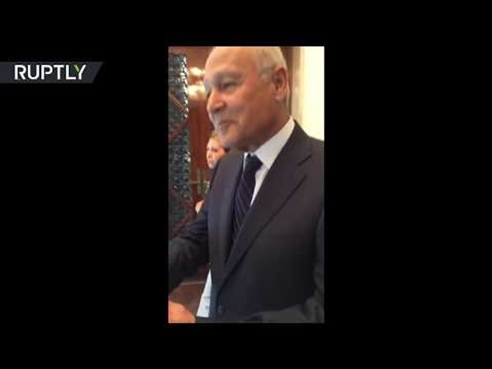 Egypt's airstrikes in Libya 'very much justified’ - Arab League Secretary-General Gheit