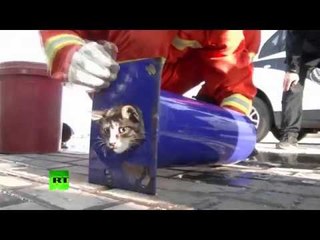 From rescued kids to rescued cats: Chinese firefighters save kitten that was stuck in pipe