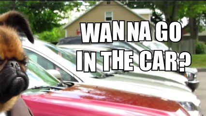 Brus Griffin's Motor World