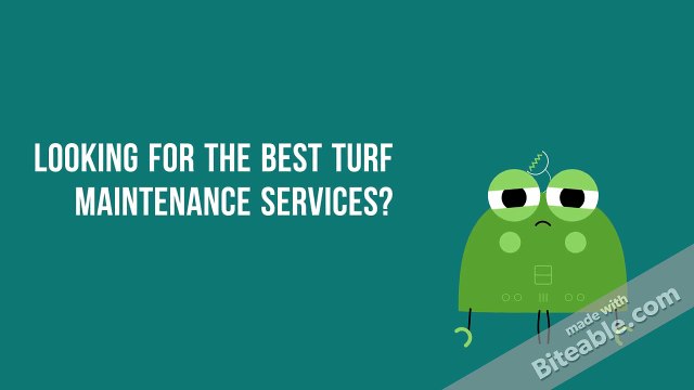Turf Maintenance Services