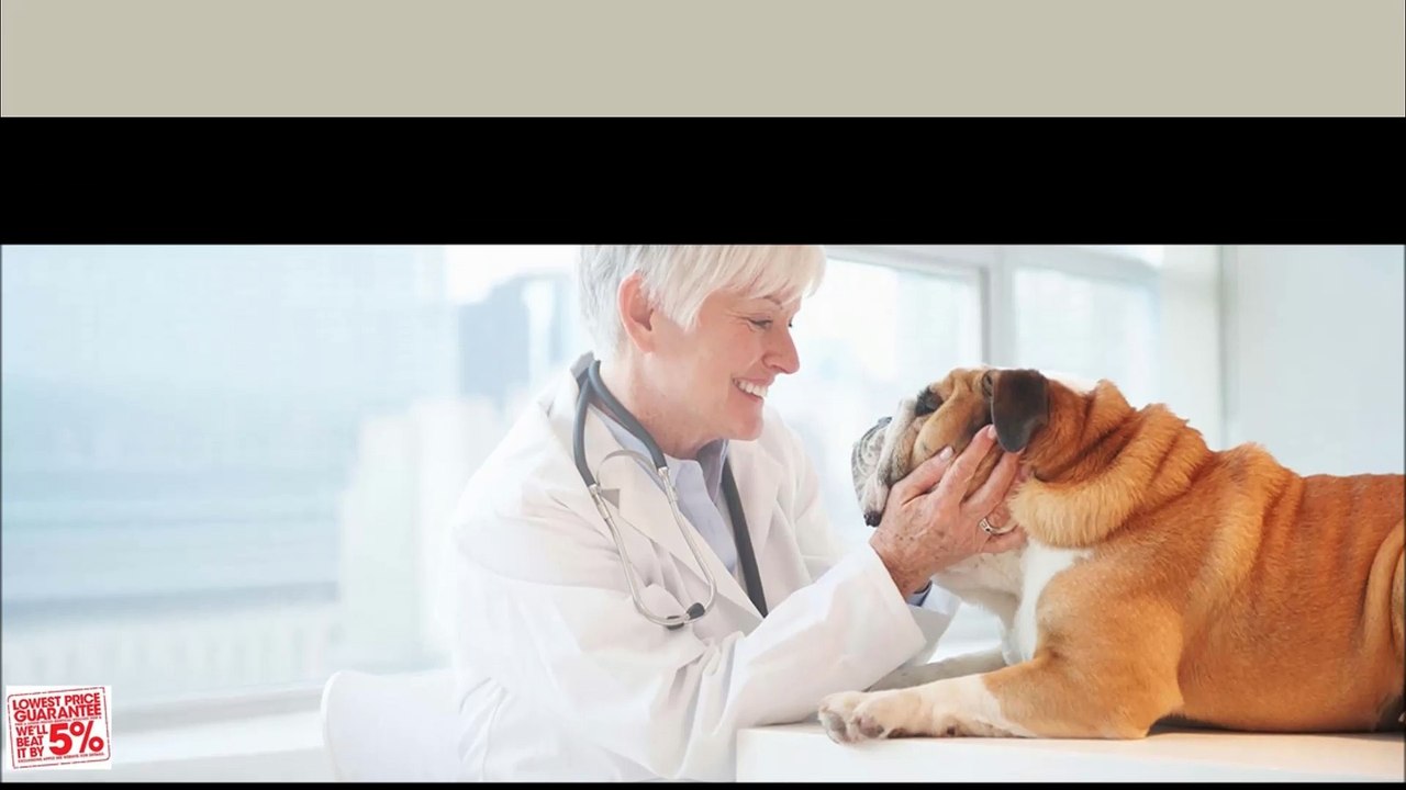 Veterinary Product in Australia