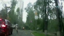 Moskova'da çıkan fırtına ağaçları böyle devirdi