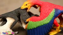 Videos de Dinosaurios para niños Dinosaurios de dsaJuguete Microraptor Schleich Dinosaur_Dinosaurs
