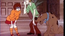 Scooby-Doo! _ Crocodile Feeding Tim
