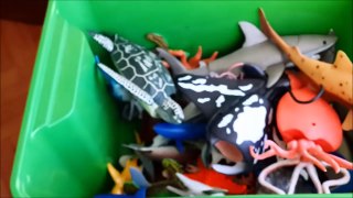Shark Toys Kids Toy Box Sea Animalsdsa