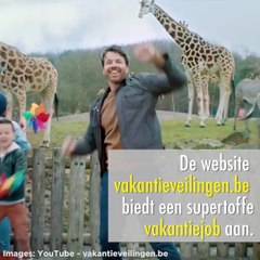Monkey News: Belgian website is looking for students to try out holidays