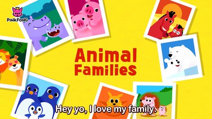 Animal Families _ Animal Songs _ PINKFONG Songs for Childre