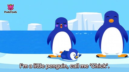 Animal Families _ Animal Songs _ PINKFONG Songs for