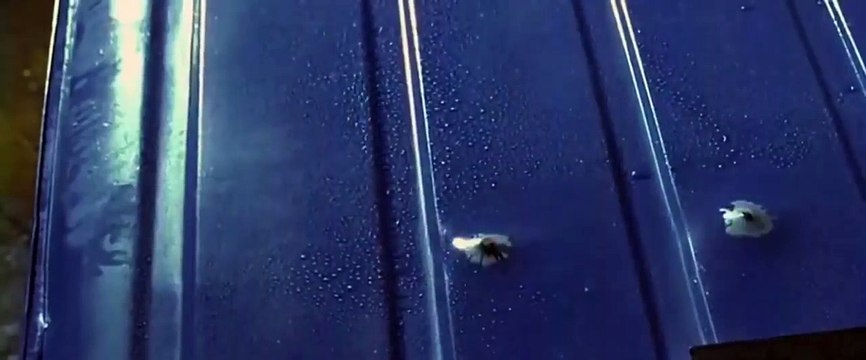 Filimleri 2017 -Jet Li And Jason Statham Aksiyon Filim