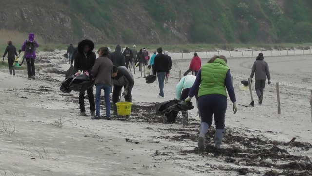 Nettoyage raisonné Réserve naturelle Baie Saint Brieuc 4 Mai 2017
