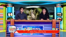 Bachon Ka Khabarnama - kids news -Episode 88- 30 May ,2017