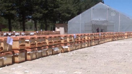 Çoruh Nehri Havzası Rehabilitasyon Projesi