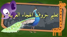 Apprendre l'arabe - Apprendre l'alphabet arabe - Apprendre la langue arabe aux petits enfants - حروف الهجاء العربية