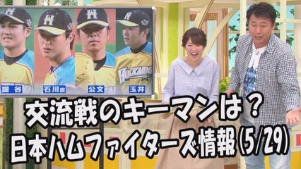 日本ハム 交流戦のキーマンは？ 2017.5.29 日本ハムファイターズ情報 プロ野球
