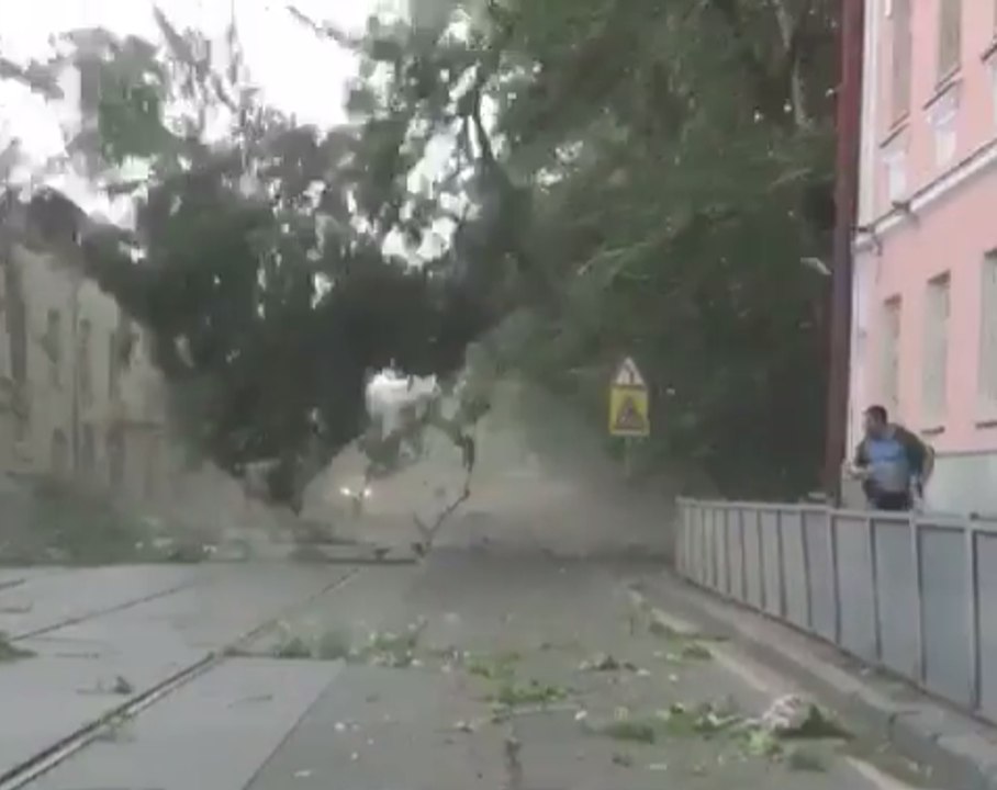 Man Runs to Avoid Falling Branches in Moscow Storm