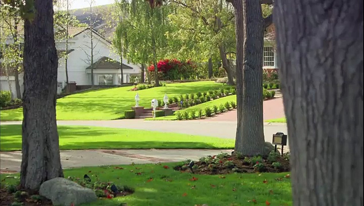 Bizarre ou quoi  [VF] - S03E01 - Saison 3 - épisode 1 - Survivance invraisemblable - Daylimotion