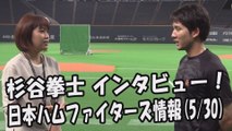 日本ハム 杉谷拳士インタビュー！2度のけがを乗り越えて 2017.5.30 日本ハムファイターズ情報 プロ野球