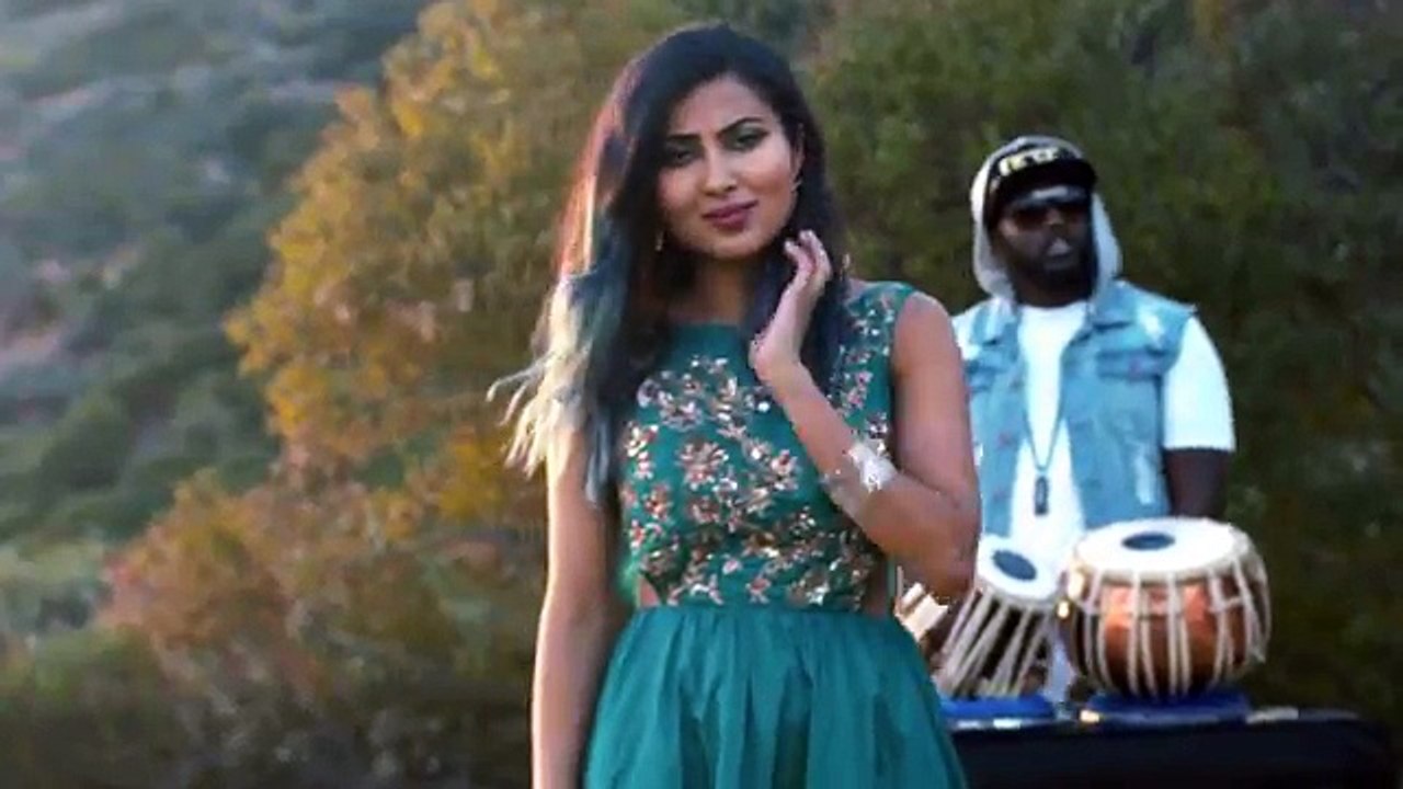 Vidya B