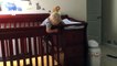 Agile toddler manages to escape from crib