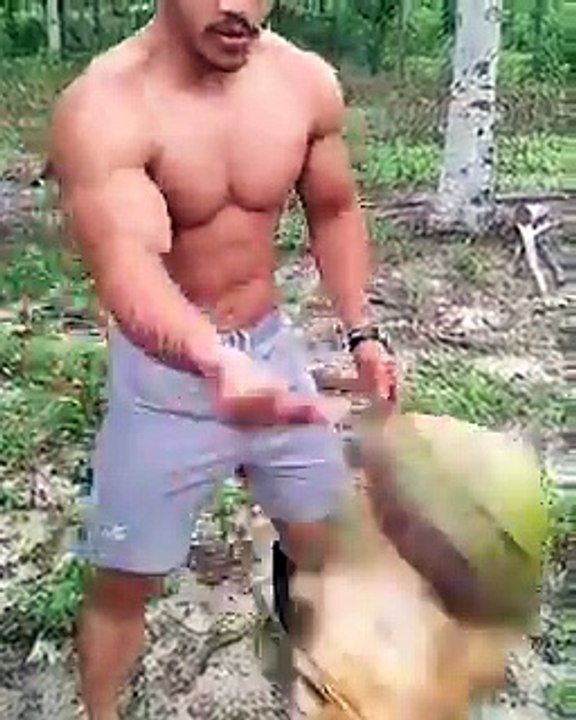 BANTUIN KUPAS DONK