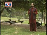 Karam Karam Kar Karam Moula , Tou Badshaha Main Hun Gadha Hamd E Bari Tala Full HD