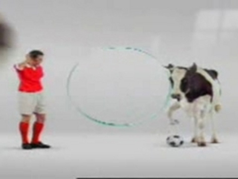 Funny Cow [from www.metacafe.com]