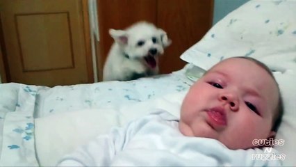 Bouncing Puppy Loves Cute Baby