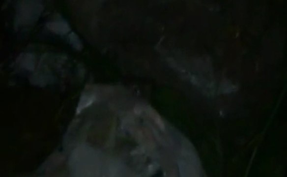 Cerca de 80 kilos de cocaína fueron decomisados en Durán