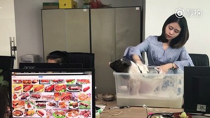 Chán nấu ăn, 'thánh ăn công sở' gấp 70 triệu tiền mặt tặng fan