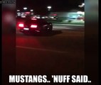 MUSTANGS ATTACK CROWDS AGAIN! Two Mustangs meet their demise at a local car meet i