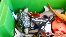 Shark Toys Kids Toy Box Sea Animals Toy Whales sea turtles caretta car