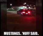 MUSTANGS ATTACK CROWDS AGAIN! Two Mustangs meet their demise at a local car meet